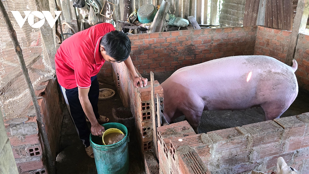 nước mắt khô của cậu học trò không dám ước mơ hình ảnh 2 nuoc mat kho cua cau hoc tro khong dam uoc mo hinh anh 2