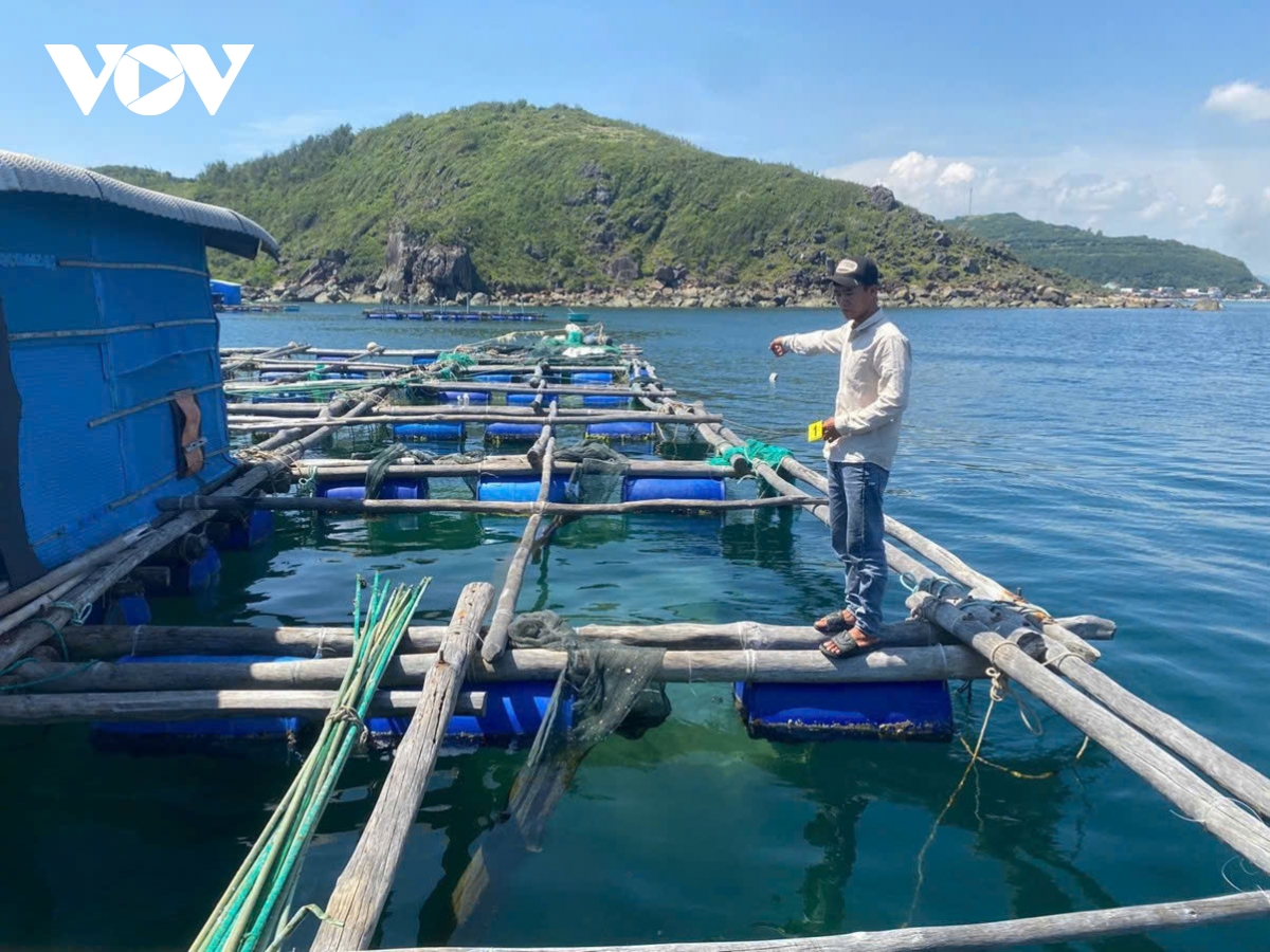 khởi tố, bắt giam 4 đối tượng trộm tôm hùm, chiếm đoạt hơn 300 triệu đồng ở Đắk lắk hình ảnh 1 khoi to, bat giam 4 doi tuong trom tom hum, chiem doat hon 300 trieu dong o Dak lak hinh anh 1