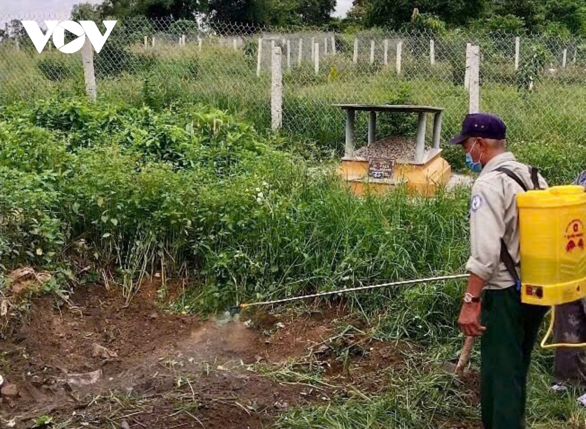 Kiểm tra đột xuất lò mổ ban đêm sau khi ghi nhận 33 ca mắc liên cầu khuẩn lợn ở Huế