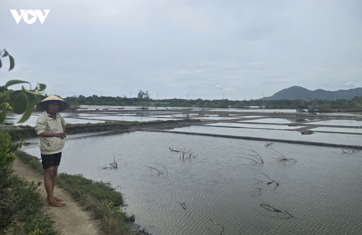 thoi tiet that thuong, nguoi lam muoi tai gia lai gap kho hinh anh 2