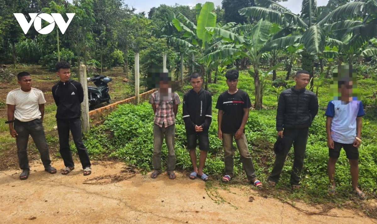 khởi tố nhóm thanh, thiếu niên dàn cảnh cướp giật ở Đắk lắk hình ảnh 1 khoi to nhom thanh, thieu nien dan canh cuop giat o Dak lak hinh anh 1