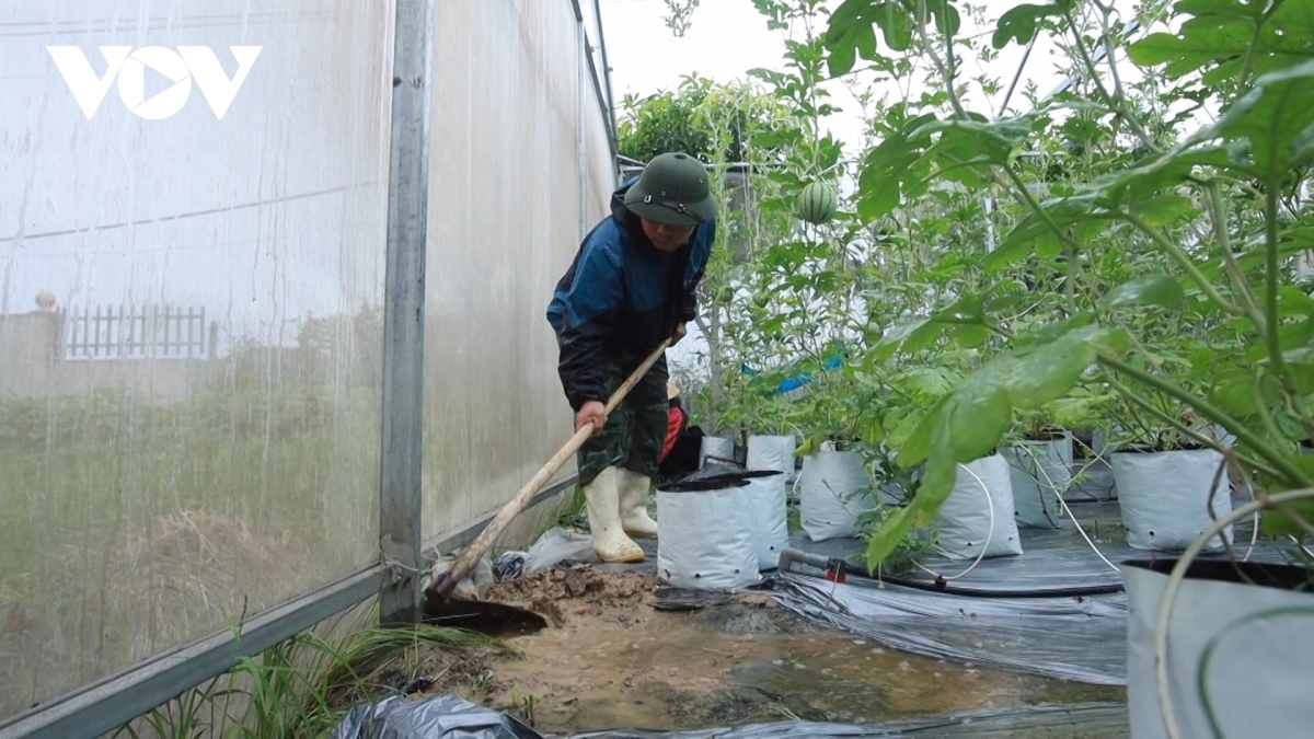 Nghệ An khẩn trương ứng phó bão số 3 để bảo vệ sản xuất nông nghiệp