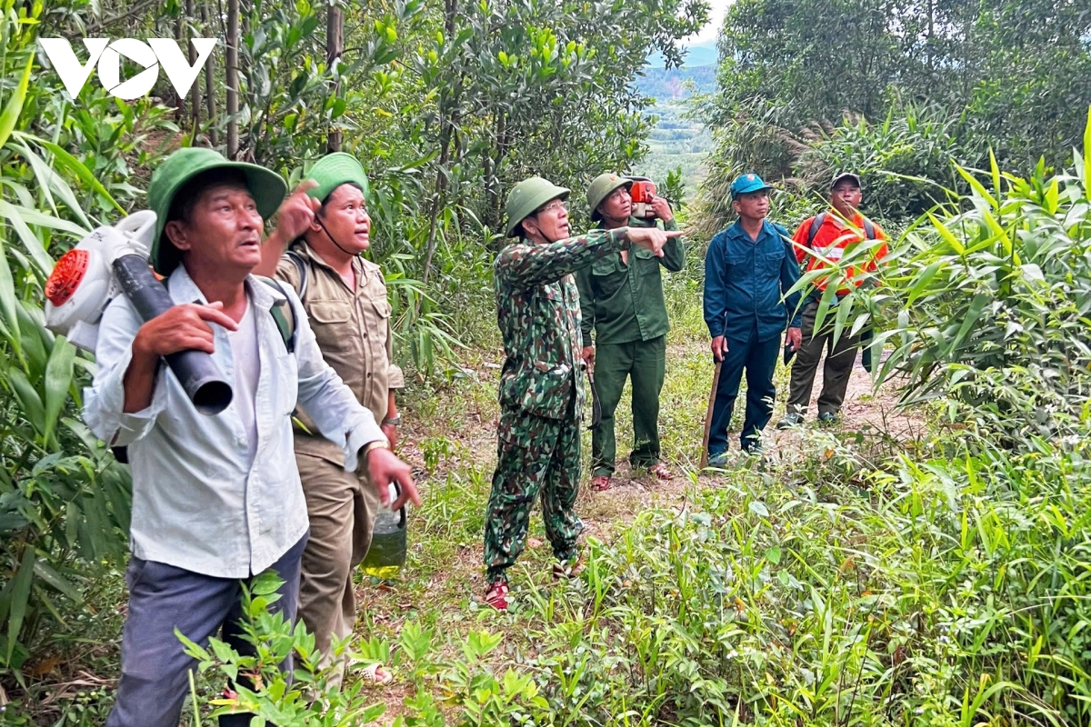 gan 100 nguoi xuyen dem khong che dam chay rung keo hon 10 hecta hinh anh 3