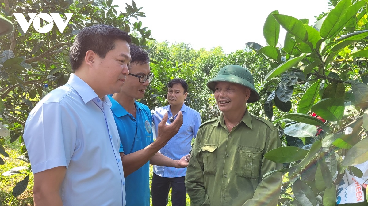 phát triển sản xuất cây ăn quả phục vụ nội tiêu và xuất khẩu hình ảnh 2 phat trien san xuat cay an qua phuc vu noi tieu va xuat khau hinh anh 2