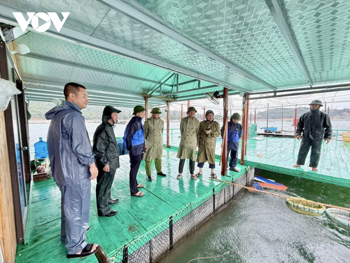 nguoi dan quang ninh chu dong phong tranh bao so 3 hinh anh 2