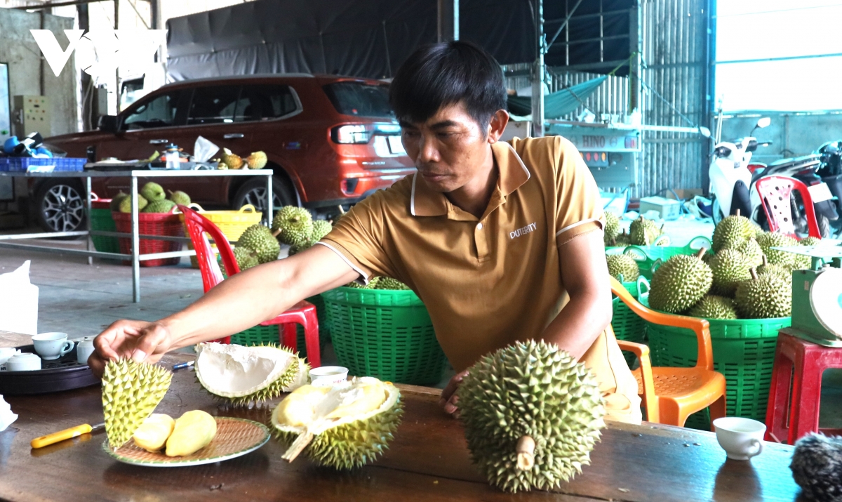 san xuat theo chuoi gia tri, thuc day tieu thu trai cay mien nui khanh hoa hinh anh 2