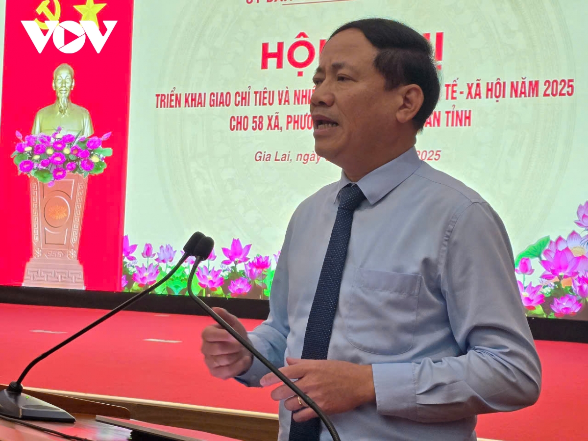 gia lai tăng trưởng ấn tượng nhưng còn nhiều thách thức sau hợp nhất hình ảnh 2 gia lai tang truong an tuong nhung con nhieu thach thuc sau hop nhat hinh anh 2