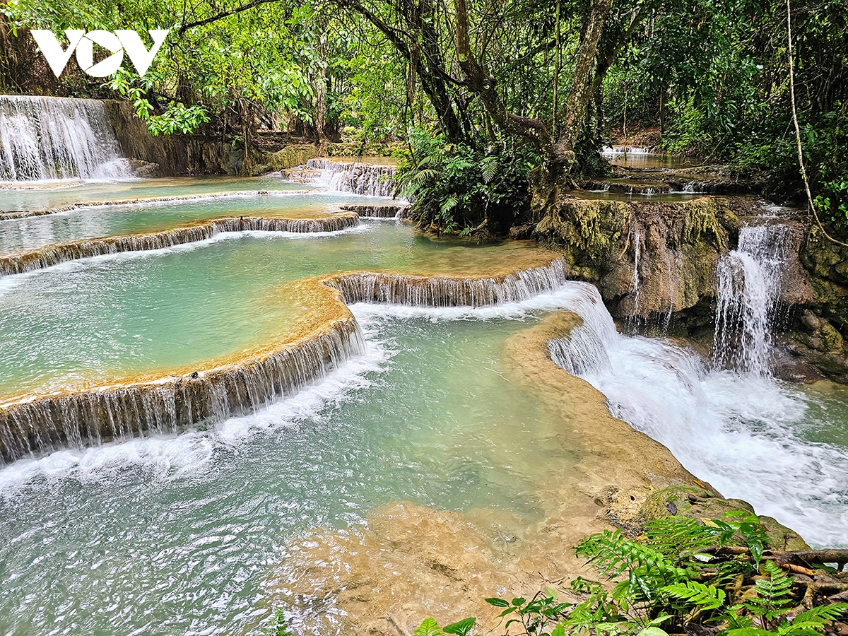 vẻ đẹp của kuang si - thác nước quyến rũ nhất ở lào hình ảnh 6 ve dep cua kuang si - thac nuoc quyen ru nhat o lao hinh anh 6