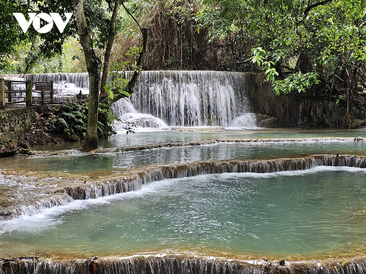 vẻ đẹp của kuang si - thác nước quyến rũ nhất ở lào hình ảnh 4 ve dep cua kuang si - thac nuoc quyen ru nhat o lao hinh anh 4