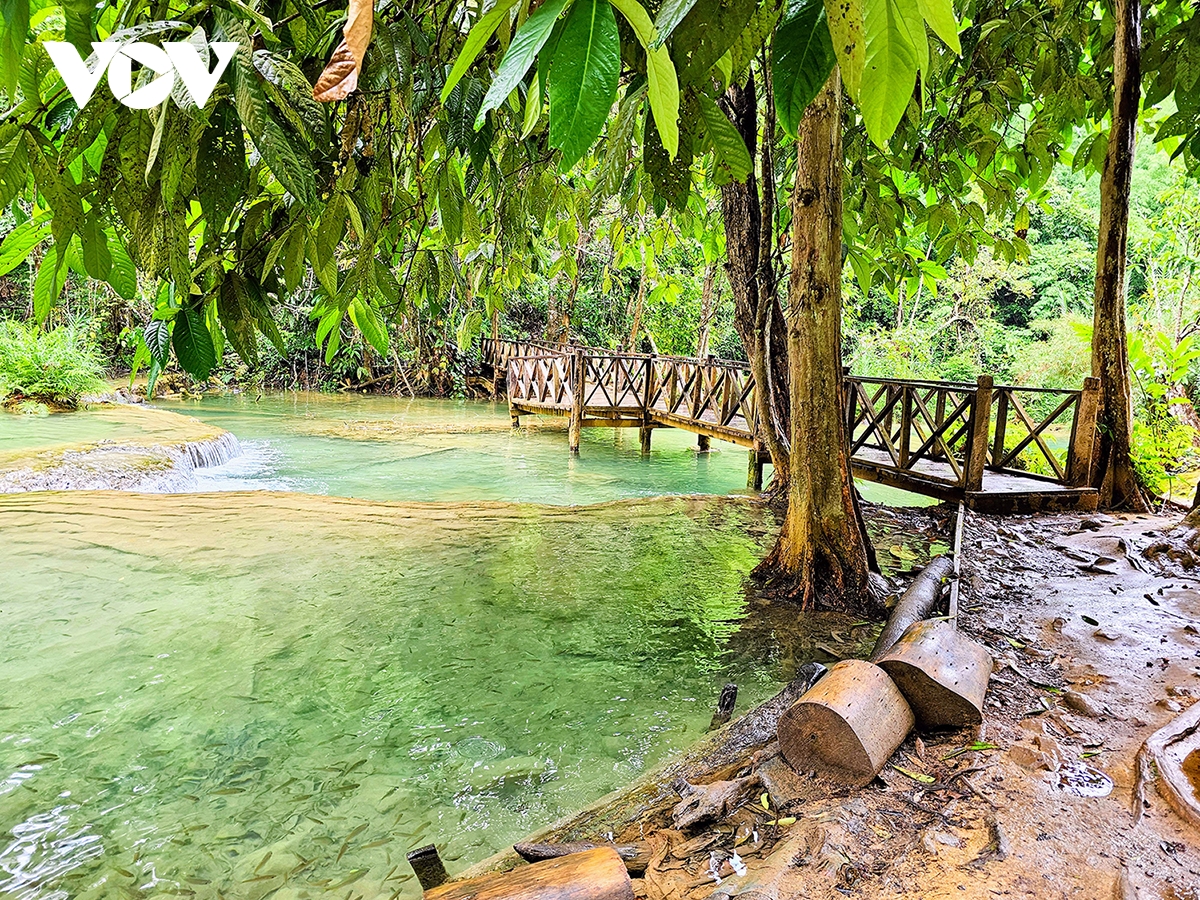 vẻ đẹp của kuang si - thác nước quyến rũ nhất ở lào hình ảnh 10 ve dep cua kuang si - thac nuoc quyen ru nhat o lao hinh anh 10