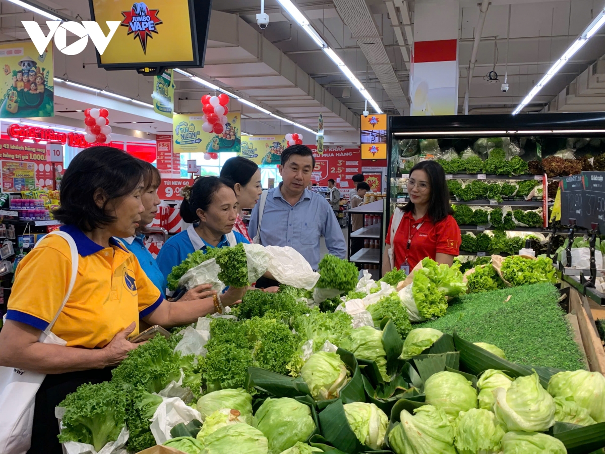 huế phát động tháng không túi ni lông 2025 với chủ đề mang xanh về nhà hình ảnh 4 hue phat dong thang khong tui ni long 2025 voi chu de mang xanh ve nha hinh anh 4