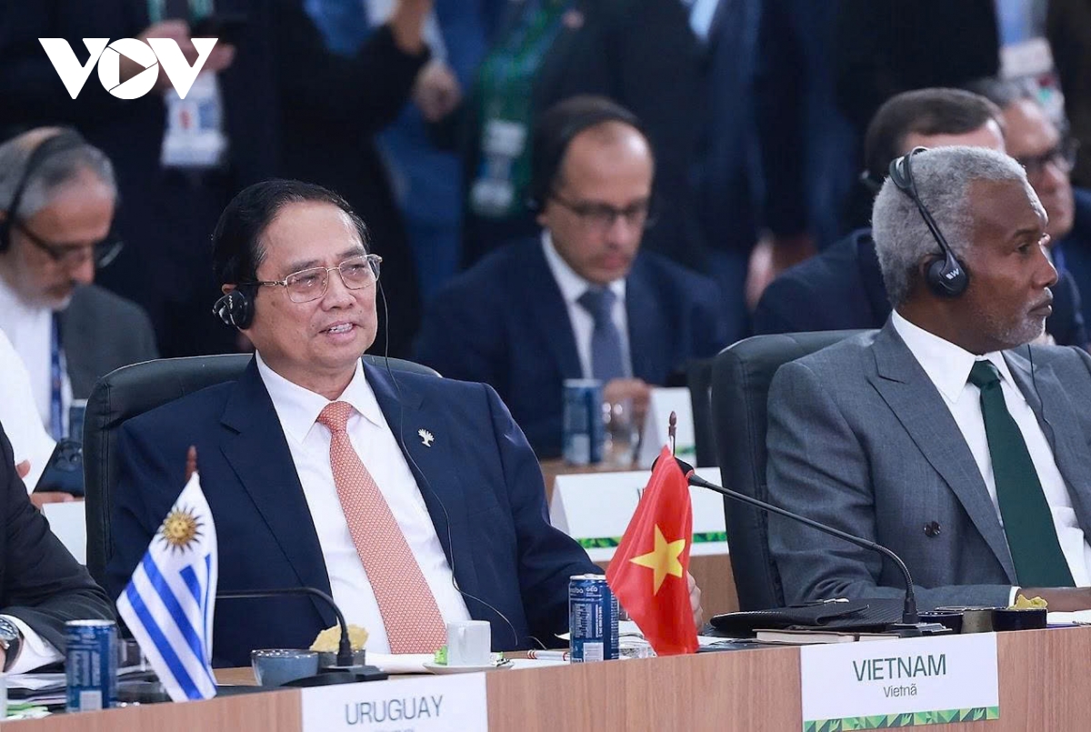 viet nam san sang cung brics no luc hoan thanh cac muc tieu trung hoa carbon hinh anh 1