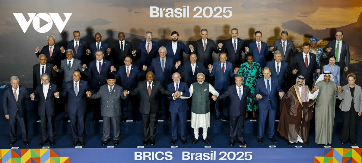 viet nam san sang cung brics no luc hoan thanh cac muc tieu trung hoa carbon hinh anh 2