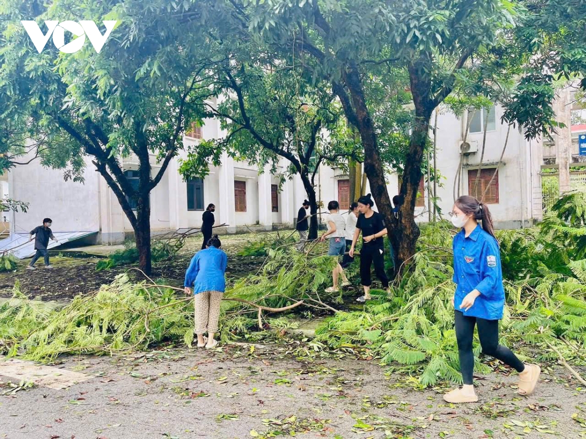 cập nhật bão số 3 Đảo bạch long vĩ tp hải phòng đang có gió giật cấp 9, mưa to, sóng lớn hình ảnh 5 cap nhat bao so 3 Dao bach long vi tp hai phong dang co gio giat cap 9, mua to, song lon hinh anh 5