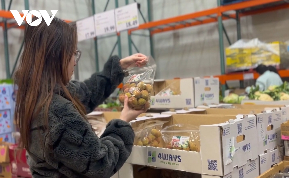 Siêu thị Costo Australia bán 200 tấn quả vải tươi Việt Nam