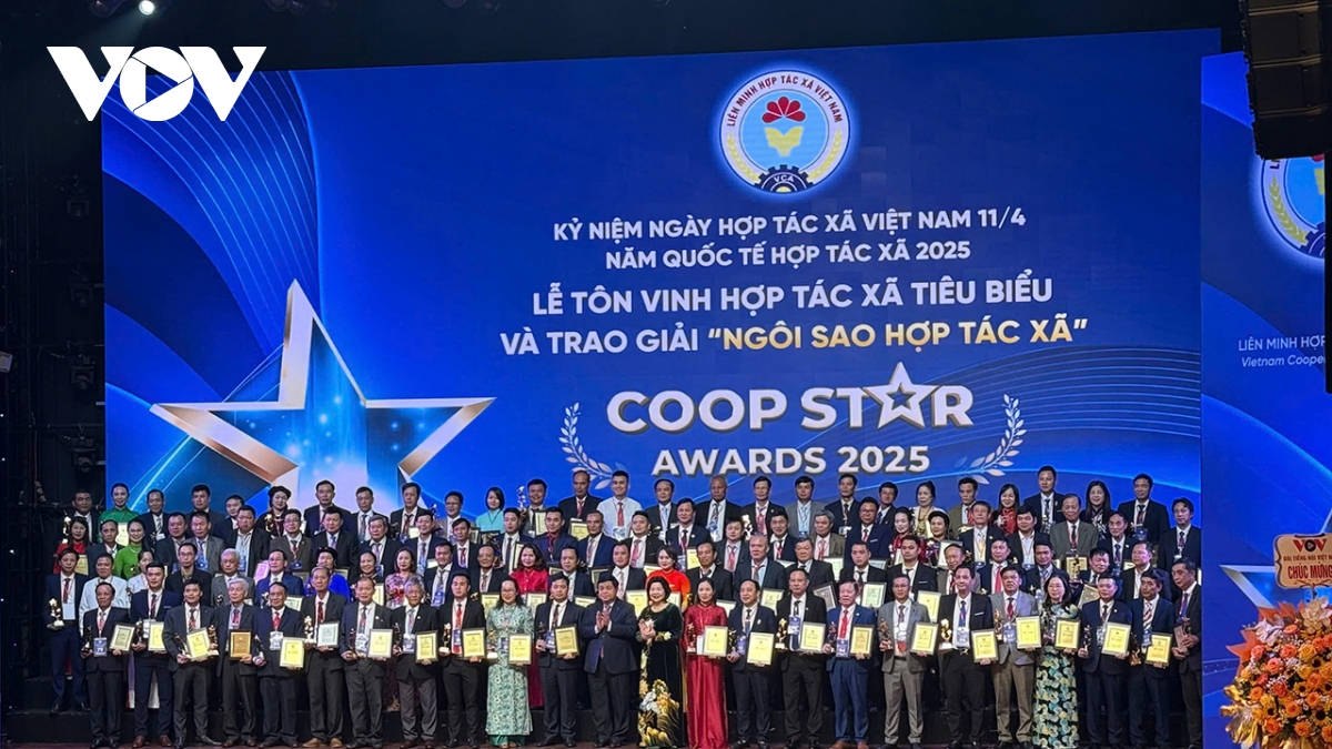 Kinh tế hợp tác xã đóng góp khoảng 5% GDP
