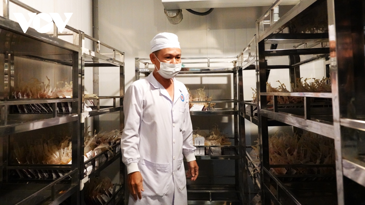 báo động đỏ về nguồn máu dự trữ cứu người khan hiếm tại Đbscl hình ảnh 4 bao dong do ve nguon mau du tru cuu nguoi khan hiem tai Dbscl hinh anh 4