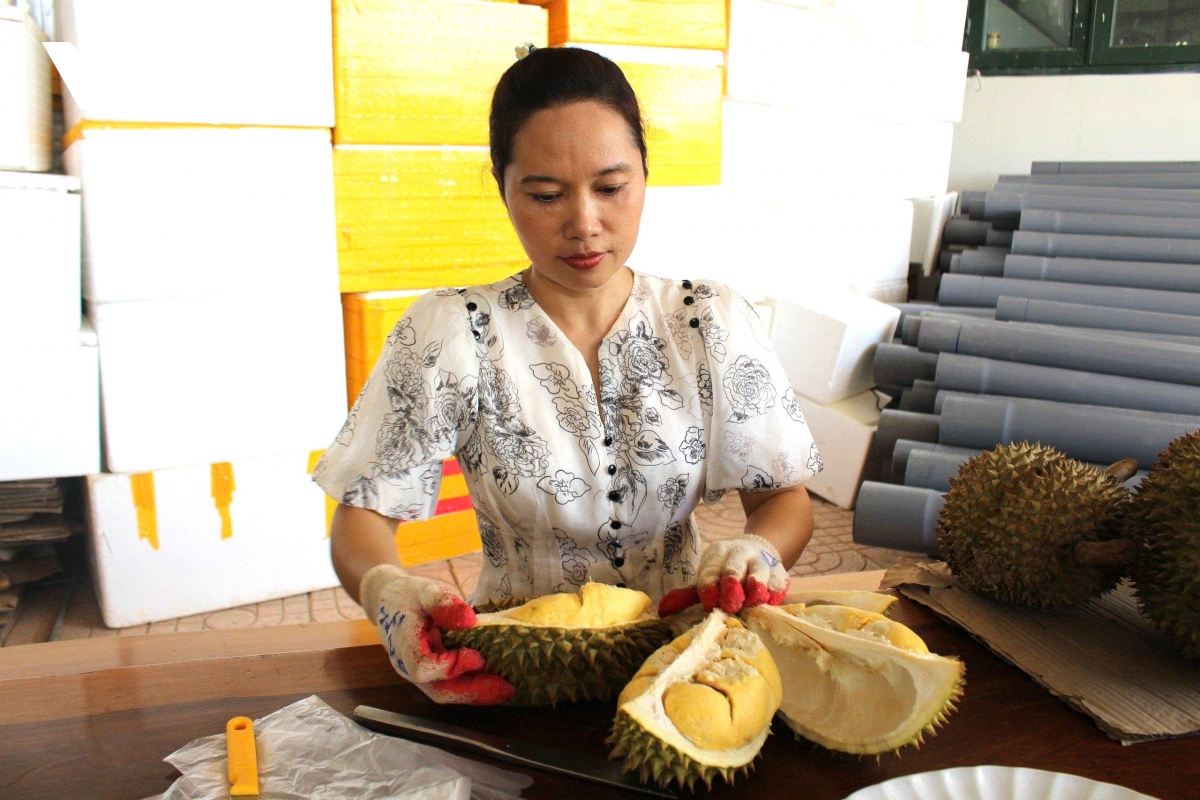 sản phẩm ocop vùng núi khánh hòa đang thành công từ những mô hình liên kết hình ảnh 3 san pham ocop vung nui khanh hoa dang thanh cong tu nhung mo hinh lien ket hinh anh 3