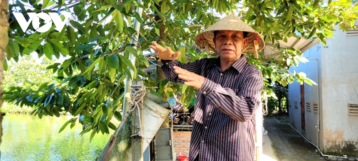 tỷ phú cá hô ở miền tây hình ảnh 2 ty phu ca ho o mien tay hinh anh 2