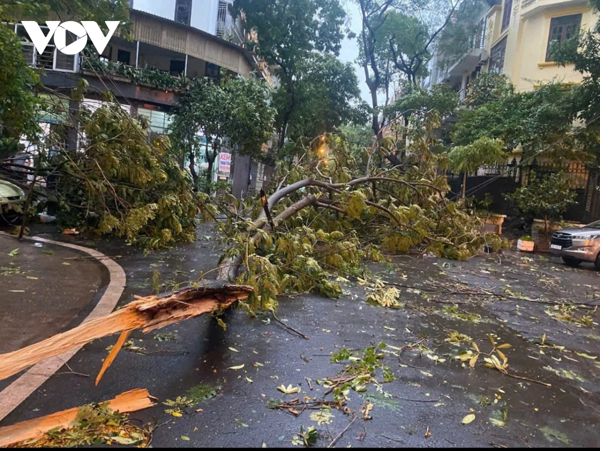 trời hà nội tối sầm, mưa như trút, gió thổi bạt người đi xe máy trên đường hình ảnh 6 troi ha noi toi sam, mua nhu trut, gio thoi bat nguoi di xe may tren duong hinh anh 6