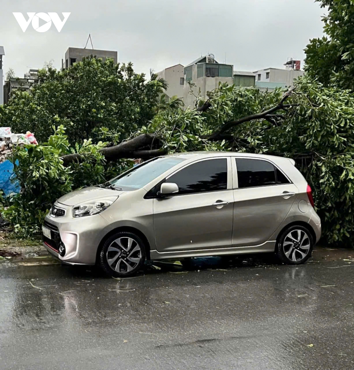 trời hà nội tối sầm, mưa như trút, gió thổi bạt người đi xe máy trên đường hình ảnh 4 troi ha noi toi sam, mua nhu trut, gio thoi bat nguoi di xe may tren duong hinh anh 4