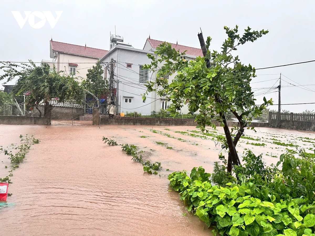 ninh binh khan truong ung pho bao so 3, di doi hon 3.400 dan den noi an toan hinh anh 2
