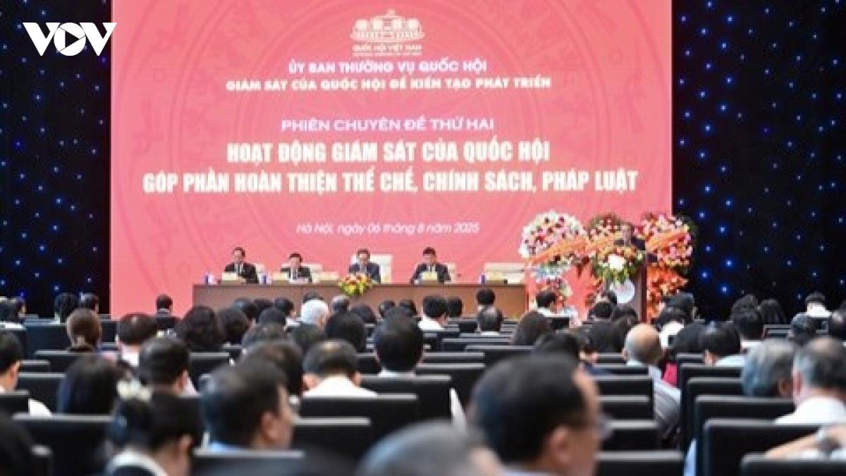 giam sat de dinh huong , gop phan hoan thien nhung chinh sach on dinh, co tam nhin hinh anh 1