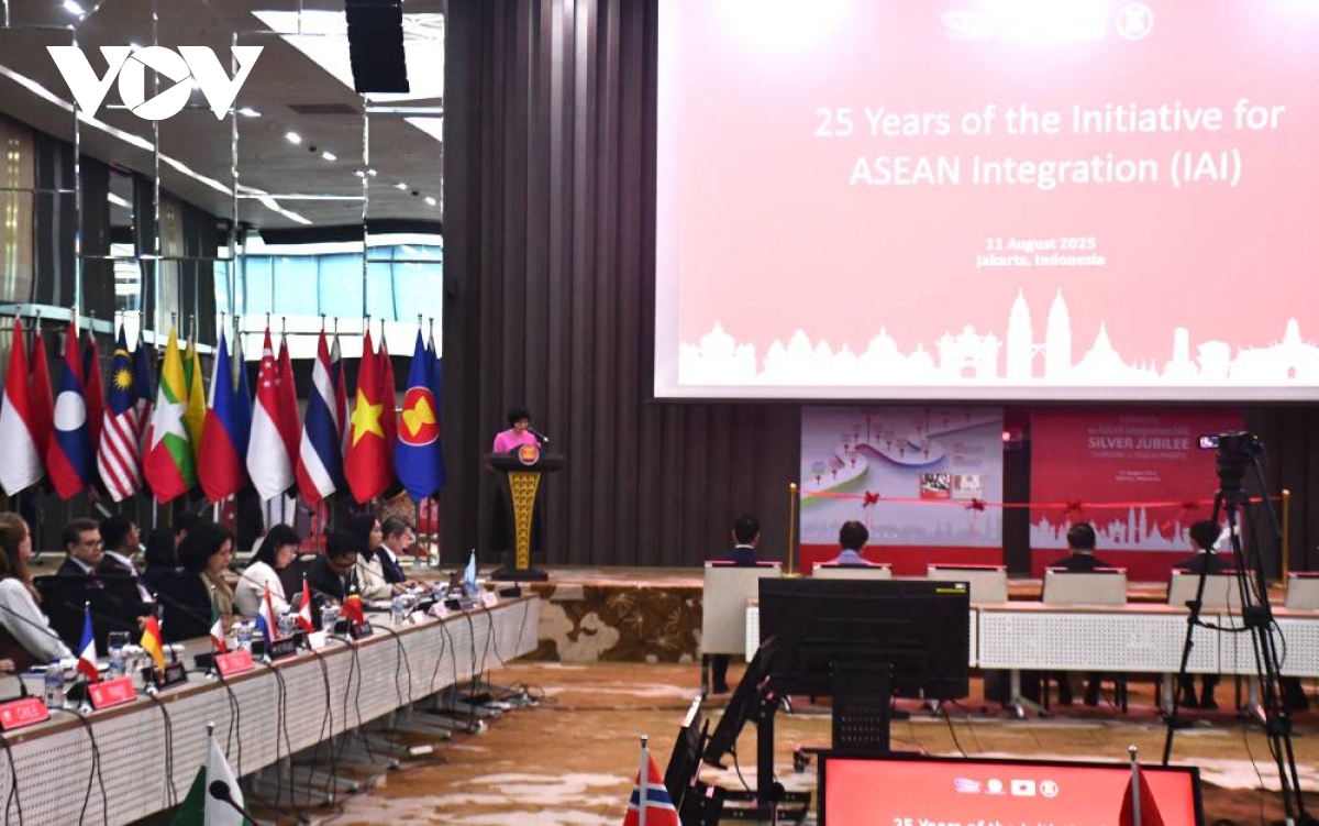 viet nam chu tri toa dam va trien lam ky niem 25 nam sang kien hoi nhap asean hinh anh 2