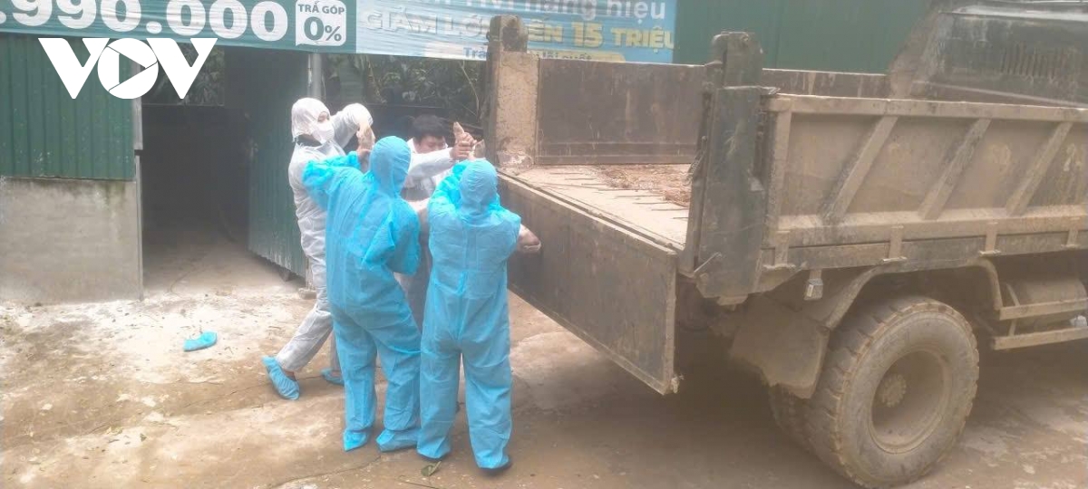 lao cai khan truong khoanh vung, dap dich ta lon chau phi hinh anh 1