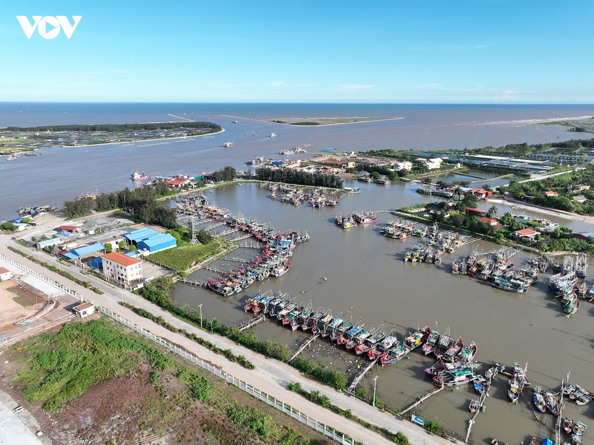 ninh binh quyet liet chong khai thac iuu, huong toi go the vang ec hinh anh 3