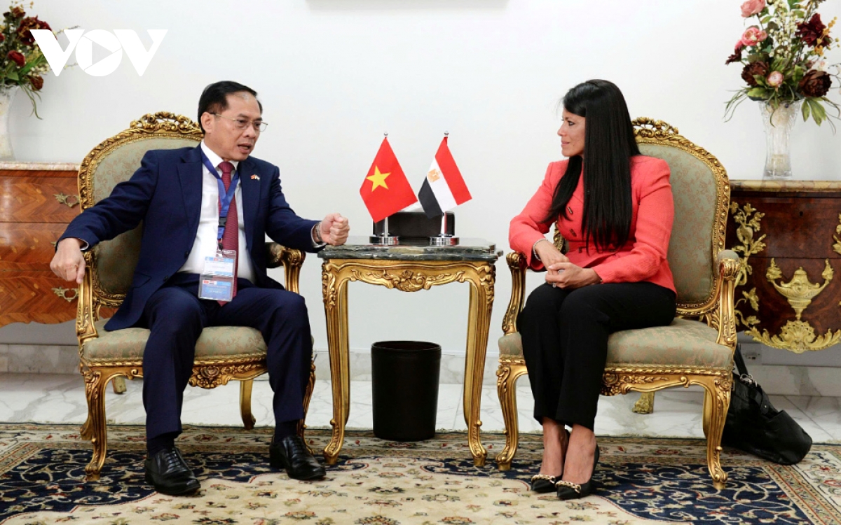 vietnam and egypt to realise newly upgraded partnership framework picture 1 vietnam and egypt to realise newly upgraded partnership framework picture 1