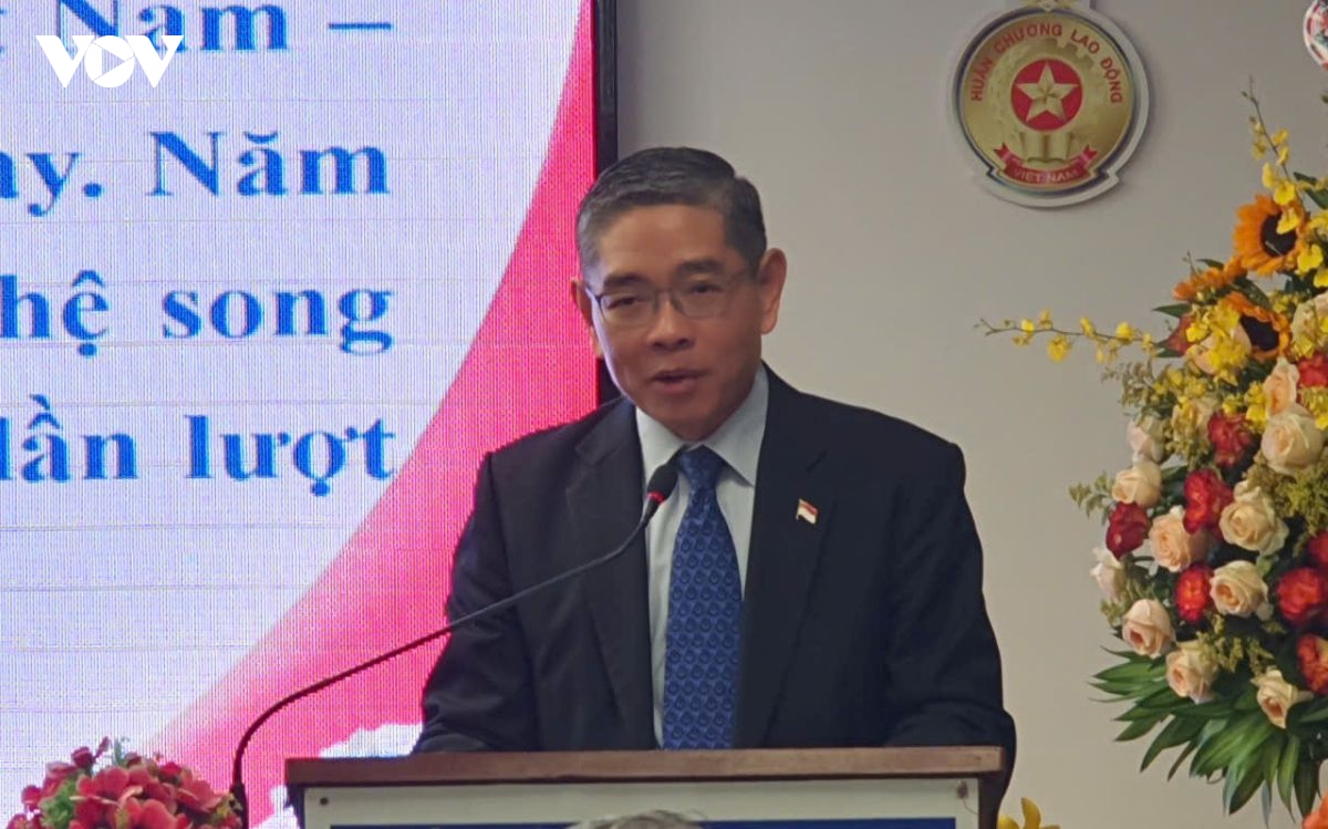 Day manh ket noi doanh nhan, mo rong giao luu hop tac viet nam singapore hinh anh 3