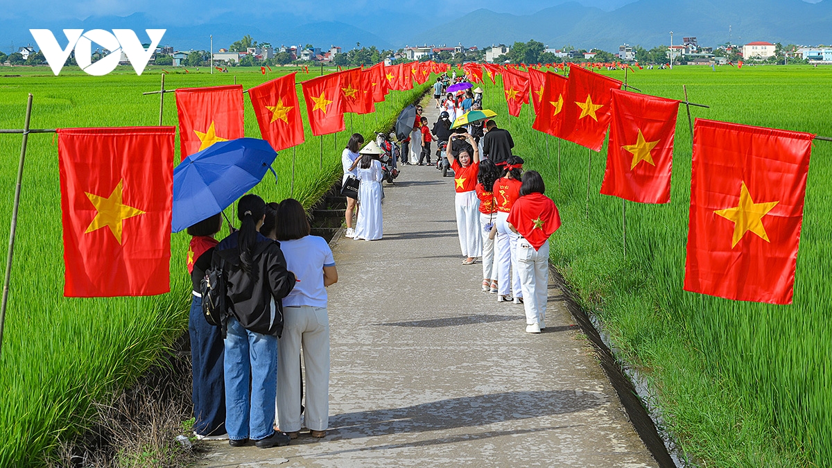 Rực rỡ “con đường cờ Tổ quốc” giữa cánh đồng Mường Thanh chào mừng Quốc khánh 2/9