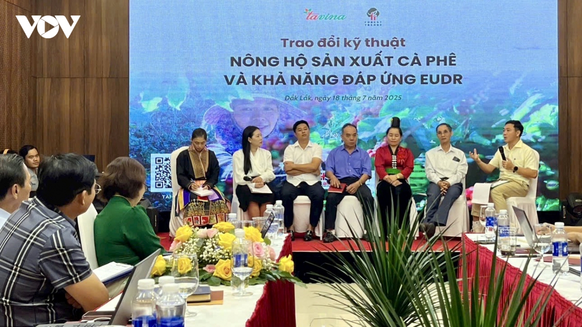 nong ho nho - nhan to quyet dinh de ca phe viet nam dap ung yeu cau eudr hinh anh 2