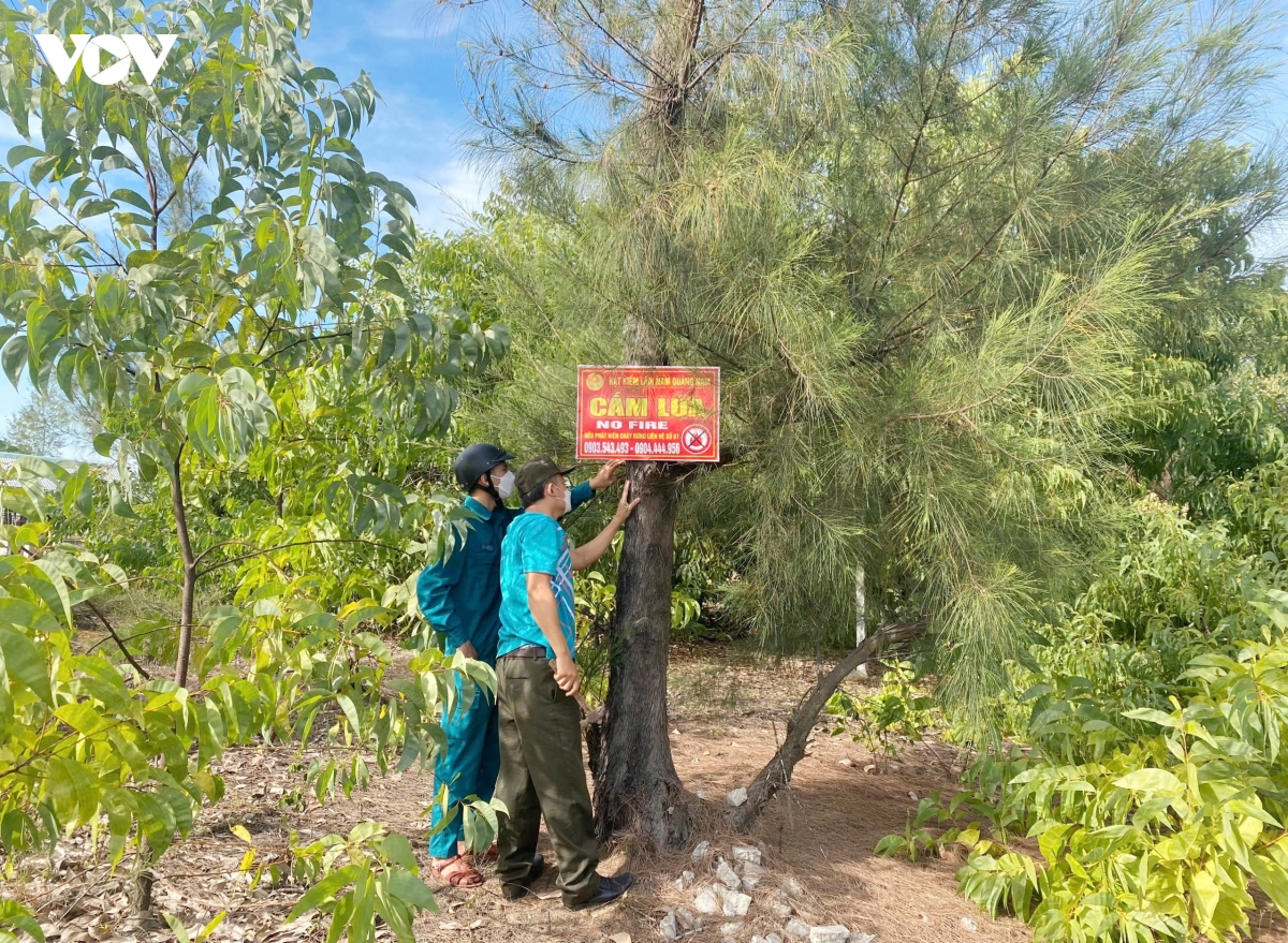 Da nang chu dong phong chong chay rung cao diem mua nang nong hinh anh 3