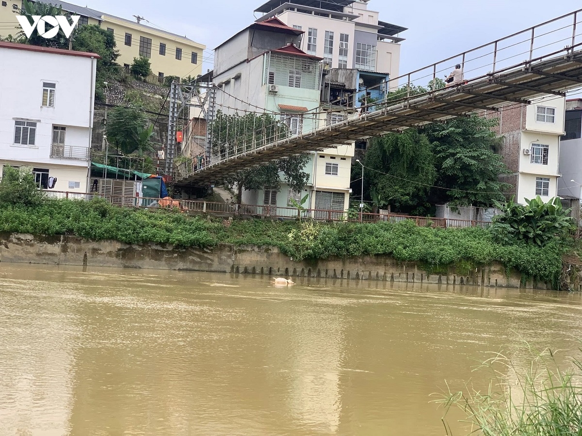 nang cao y thuc nguoi dan trong phong chong dich ta lon chau phi hinh anh 1