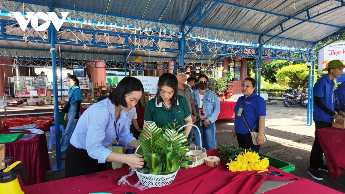 phat trien xanh tai con Dao se thanh cong neu di dung huong hinh anh 2