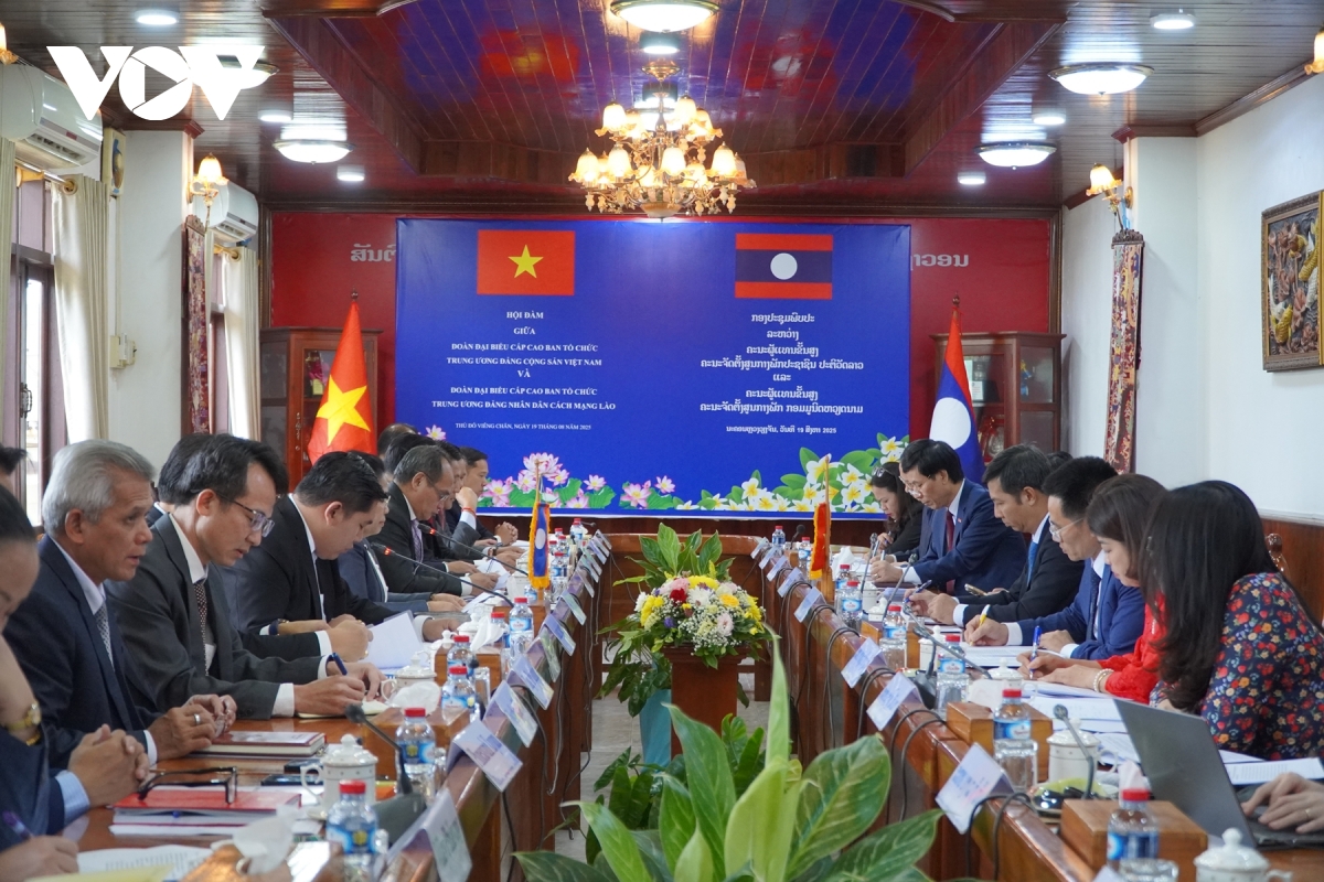 viet nam-lao tang cuong phoi hop, chia se kinh nghiem ve cong tac xay dung Dang hinh anh 1