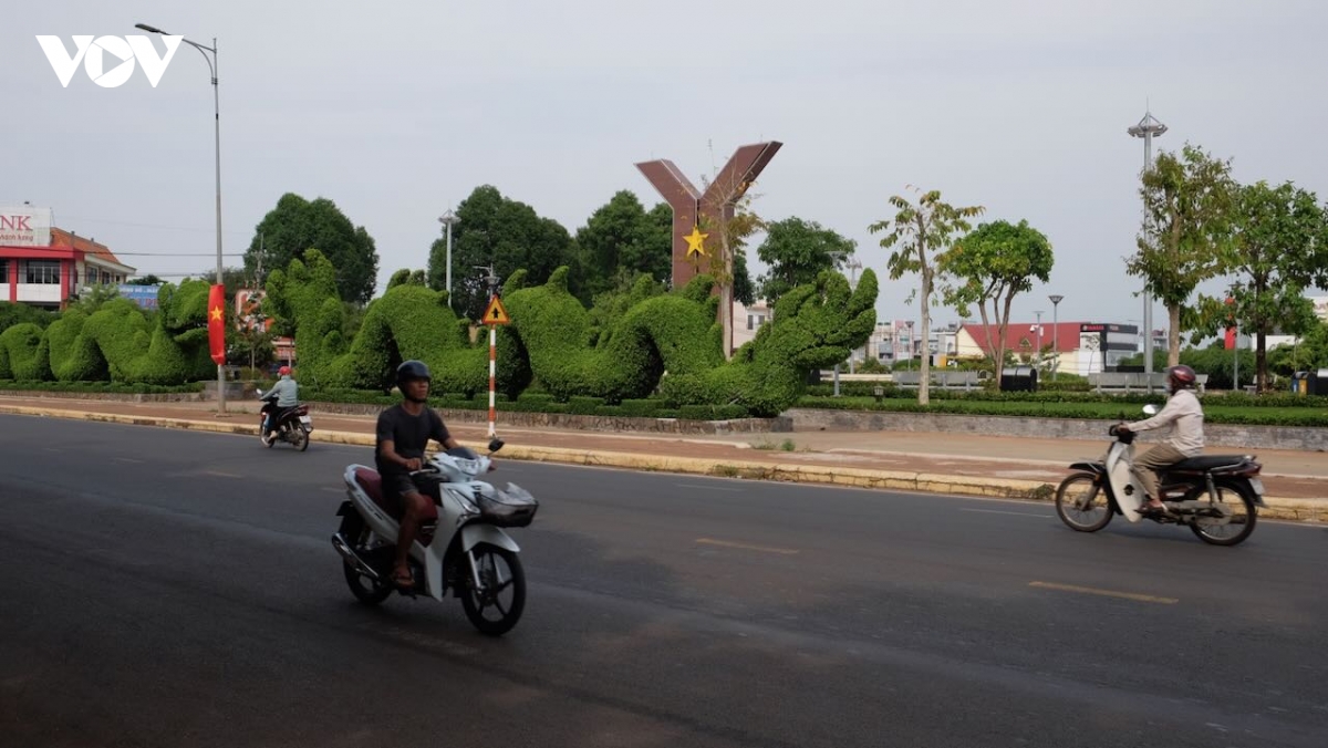Dong nai dat nhieu thanh tuu trong xay dung nong thon moi hinh anh 1