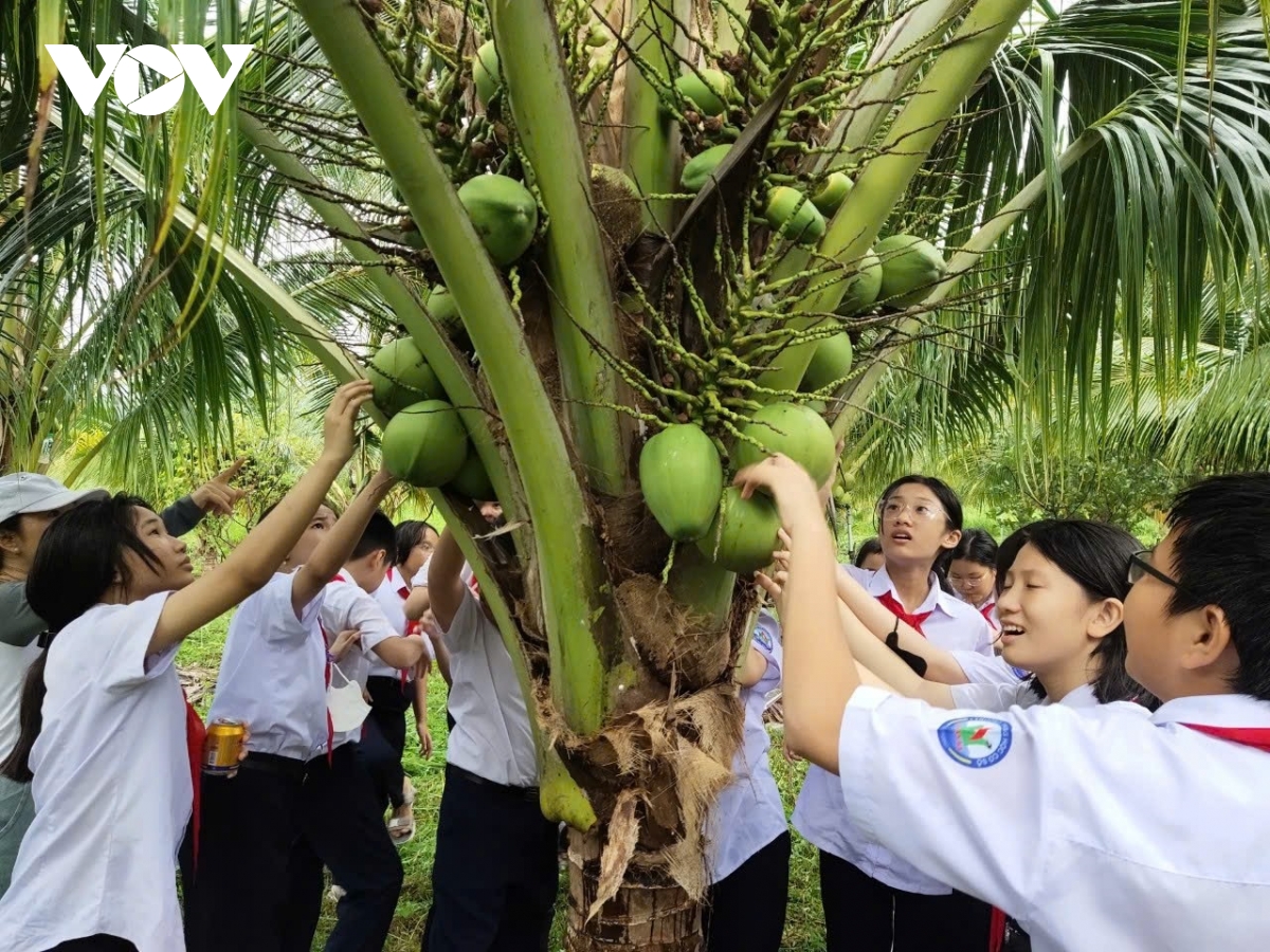 Chuyển đổi số nâng tầm nông sản miền núi Khánh Hòa