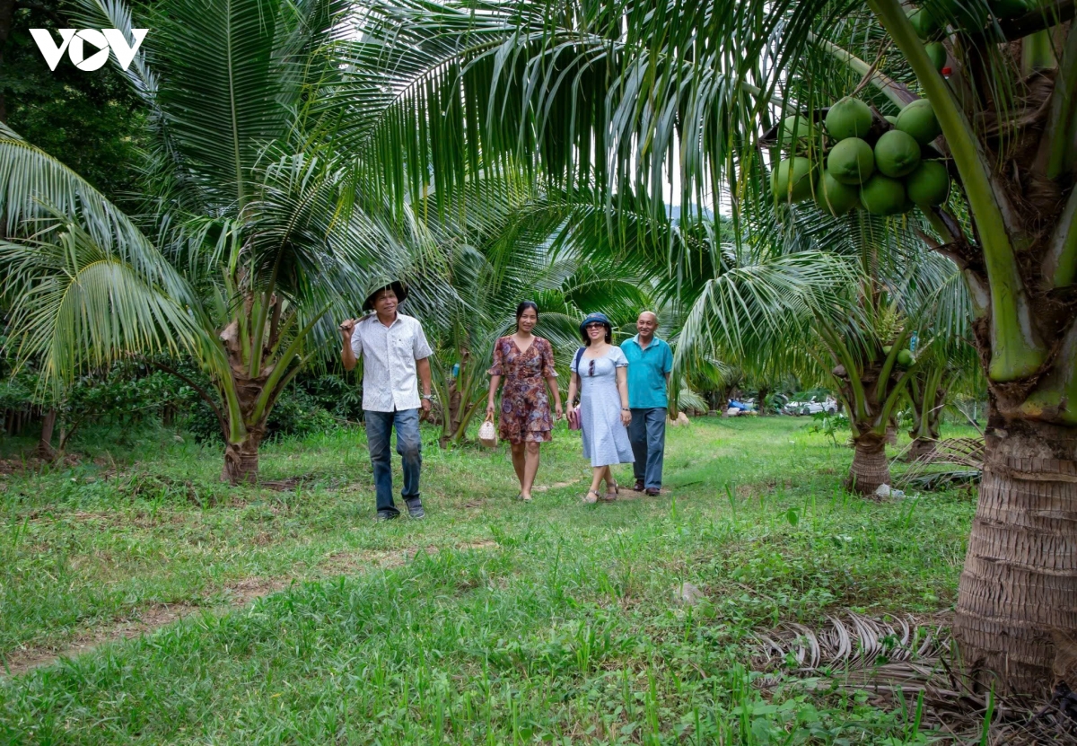 chuyen doi so nang tam nong san mien nui khanh hoa hinh anh 4