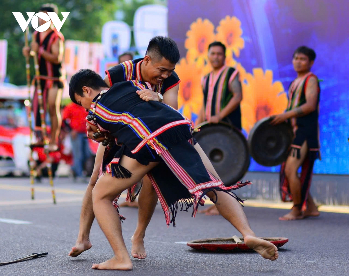 khai mac le hoi duong pho sac mau bien ca nam 2025 o gia lai hinh anh 1