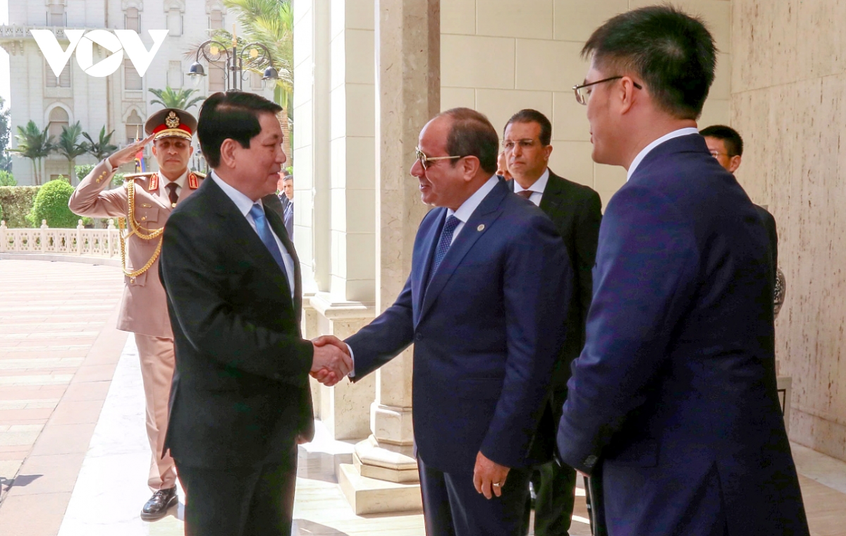 president luong cuong warmly welcomed in cairo on state visit to egypt picture 2