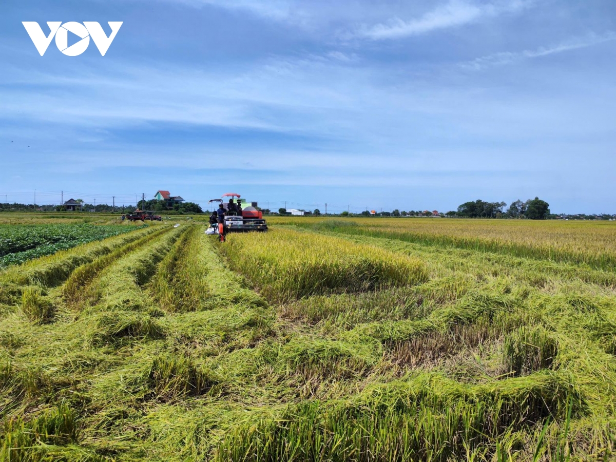 thanh pho hue dieu chinh thoi gian tuu truong tu ngay 25 8 sang ngay 28 8 hinh anh 3
