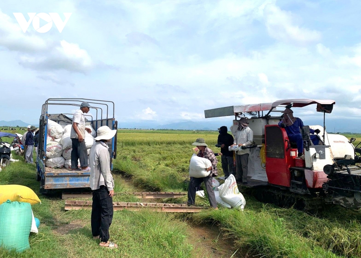 thanh pho hue dieu chinh thoi gian tuu truong tu ngay 25 8 sang ngay 28 8 hinh anh 2