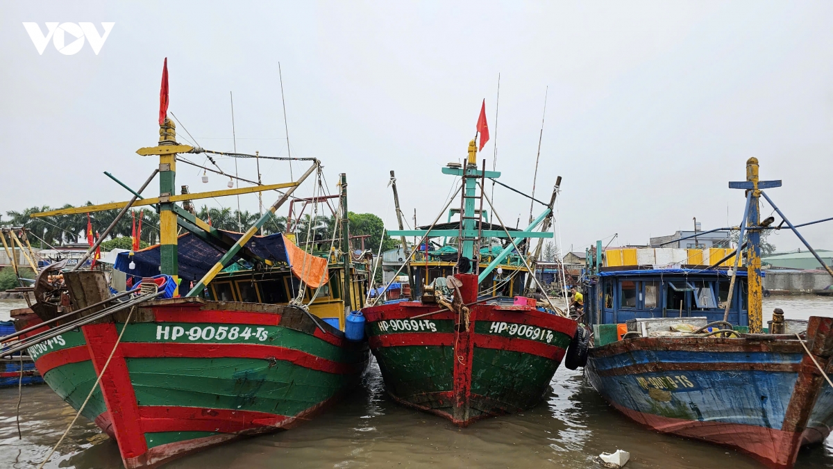 bao so 5 tau ca quang ngai khan truong tranh tru, hai phong cam hoat dong tren bien hinh anh 5