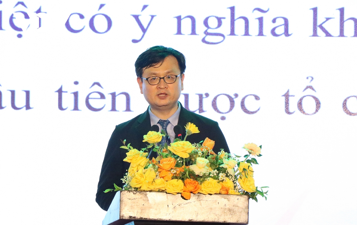 Dac sac le hoi viet nam - han quoc thanh pho Da nang nam 2025 hinh anh 6