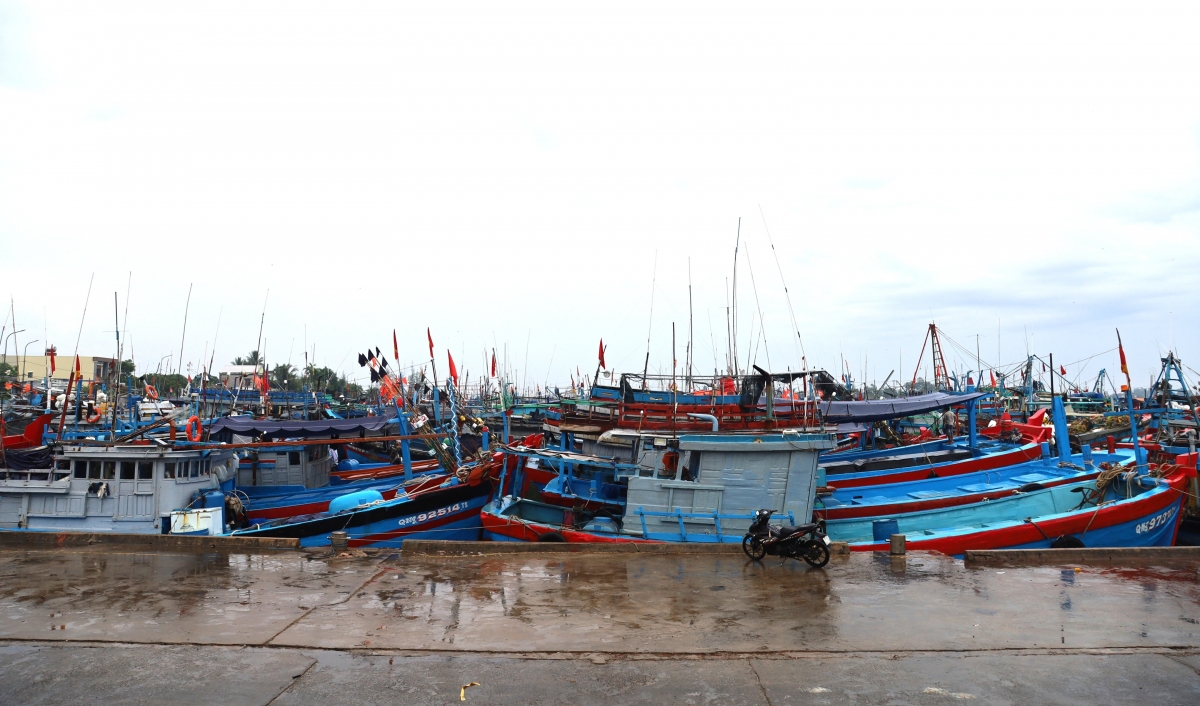 bao so 5 tau ca quang ngai khan truong tranh tru, hai phong cam hoat dong tren bien hinh anh 3