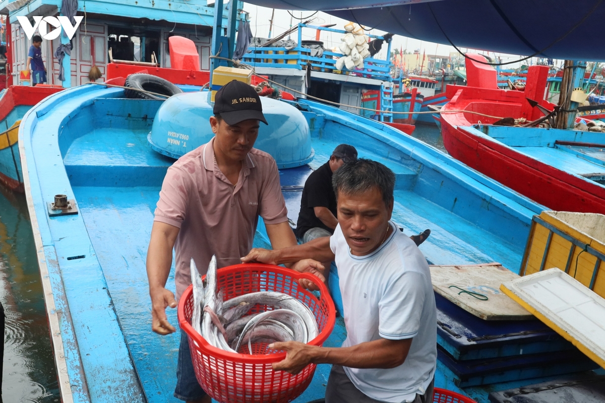 bao so 5 tau ca quang ngai khan truong tranh tru, hai phong cam hoat dong tren bien hinh anh 2