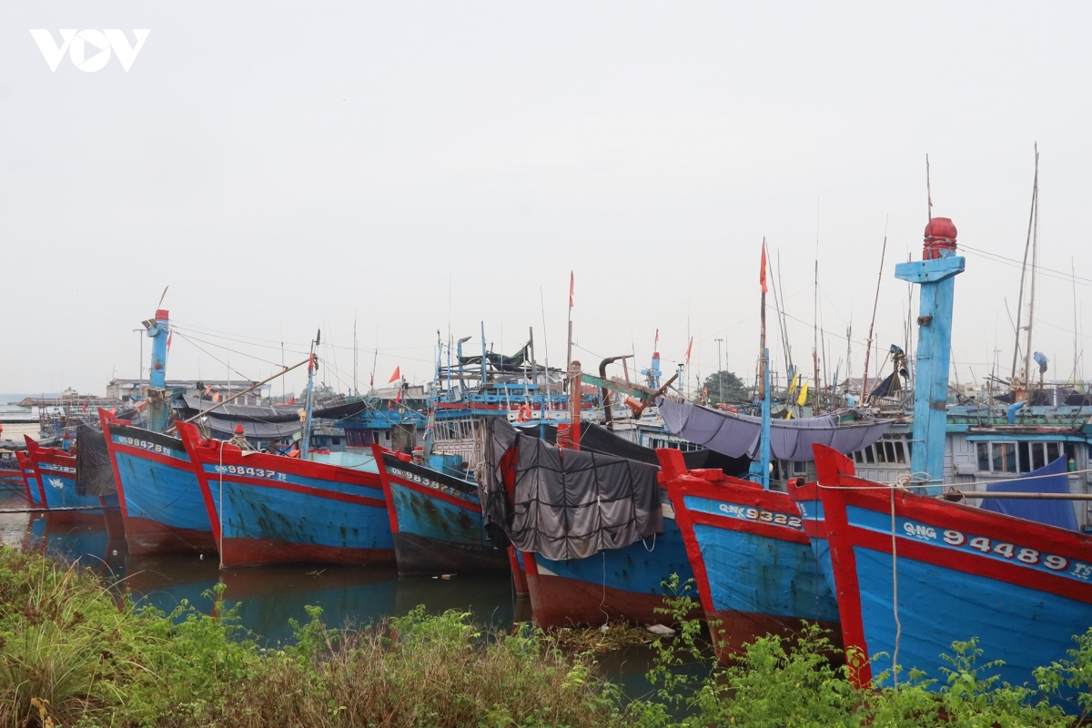 bao so 5 tau ca quang ngai khan truong tranh tru, hai phong cam hoat dong tren bien hinh anh 1